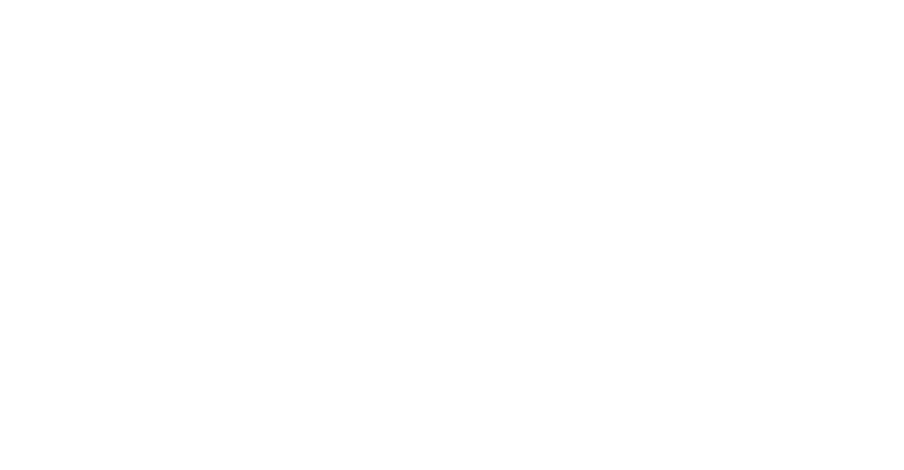 Tulip Dazzle Logo